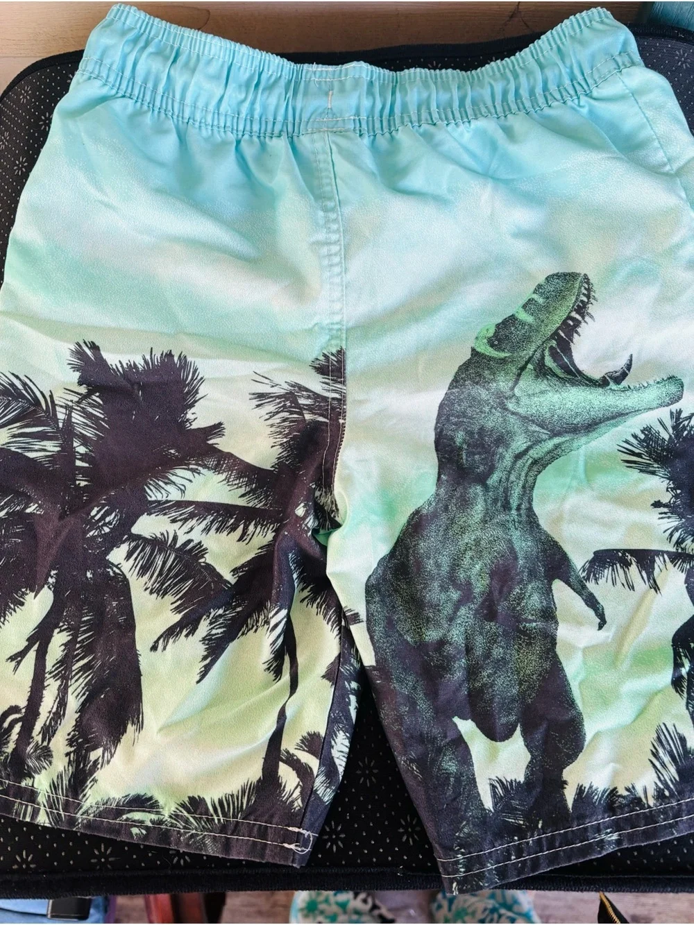 OshKosh B'gosh Teal Dino & Palm Swim Shorts